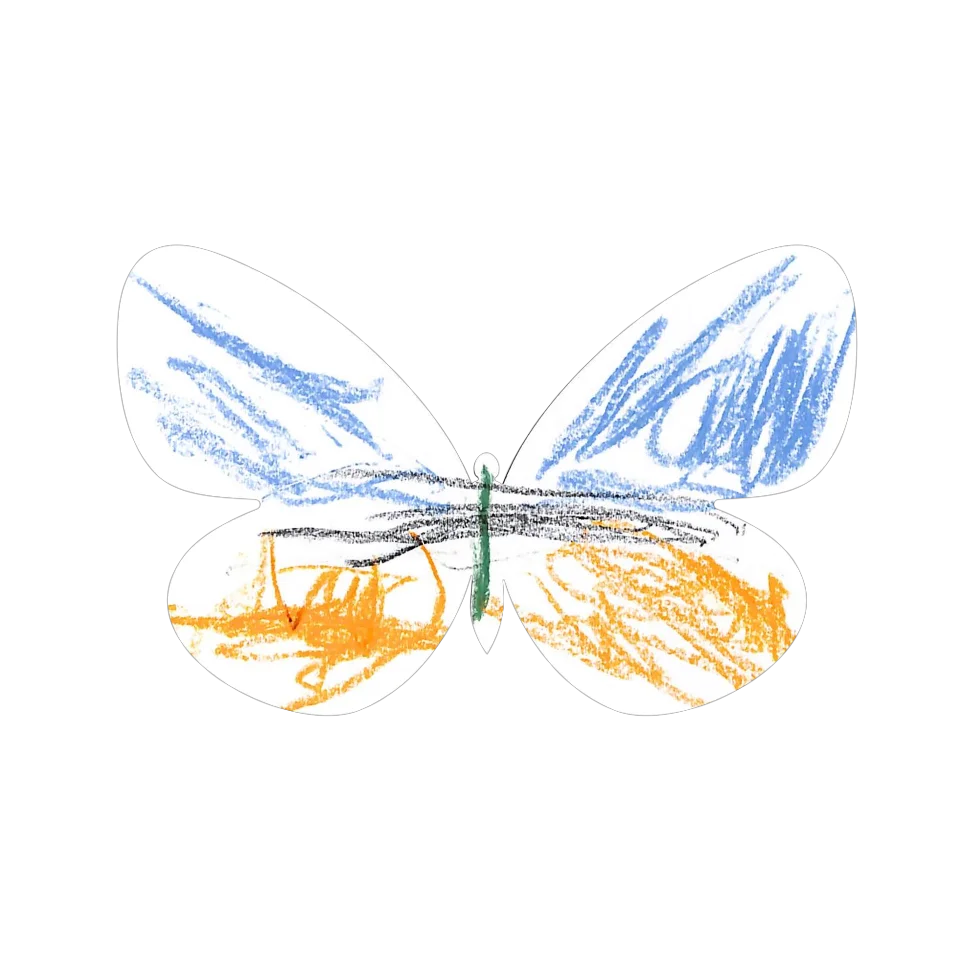 Original Butterfly Image