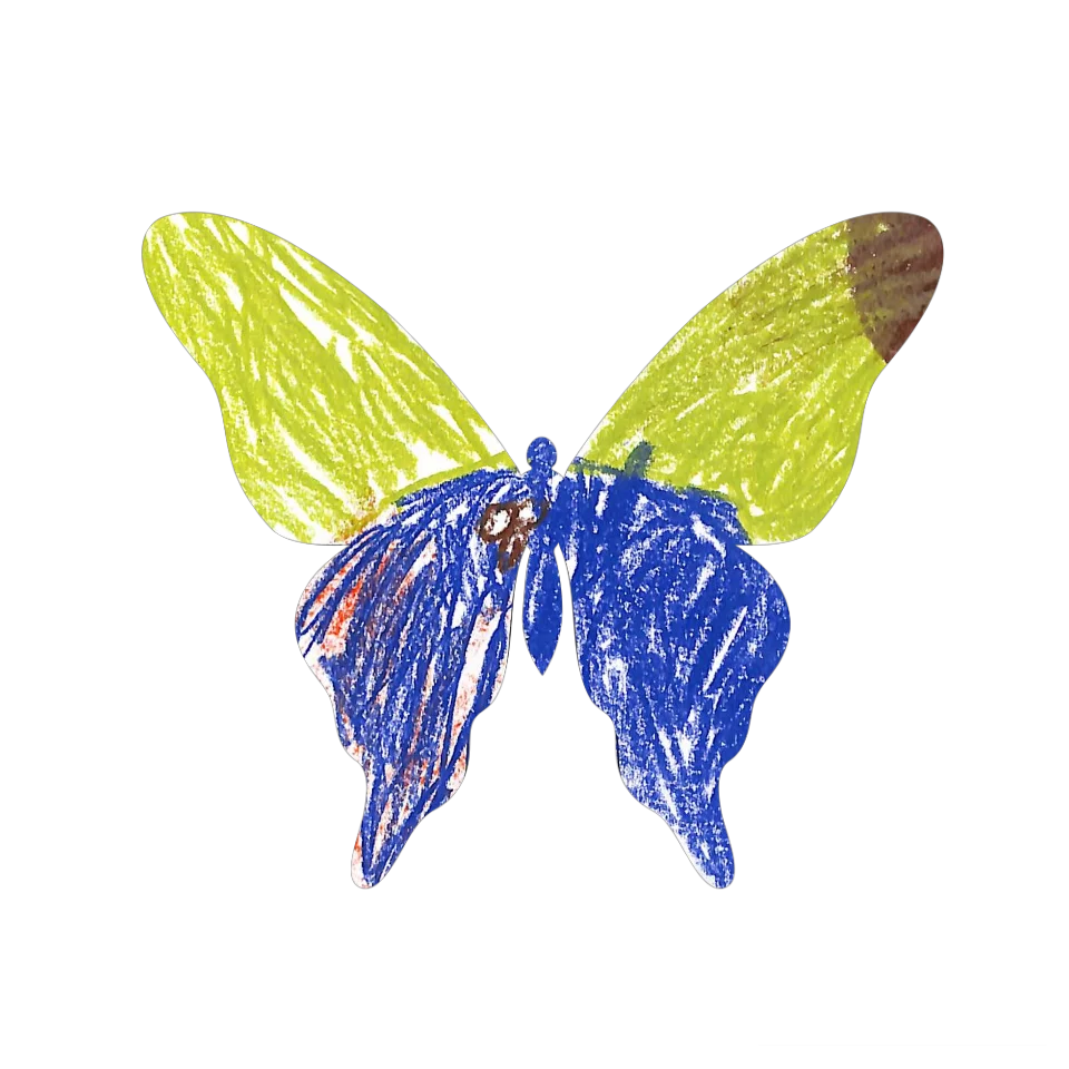 Original Butterfly Image