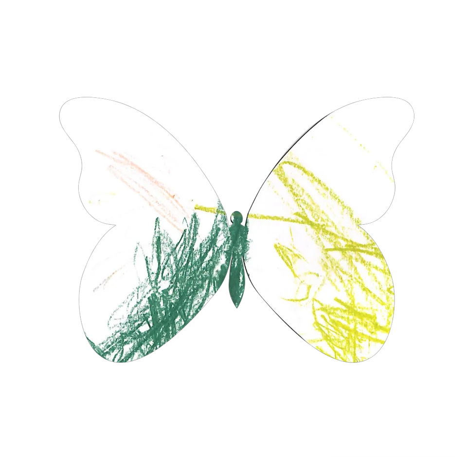 Original Butterfly Image