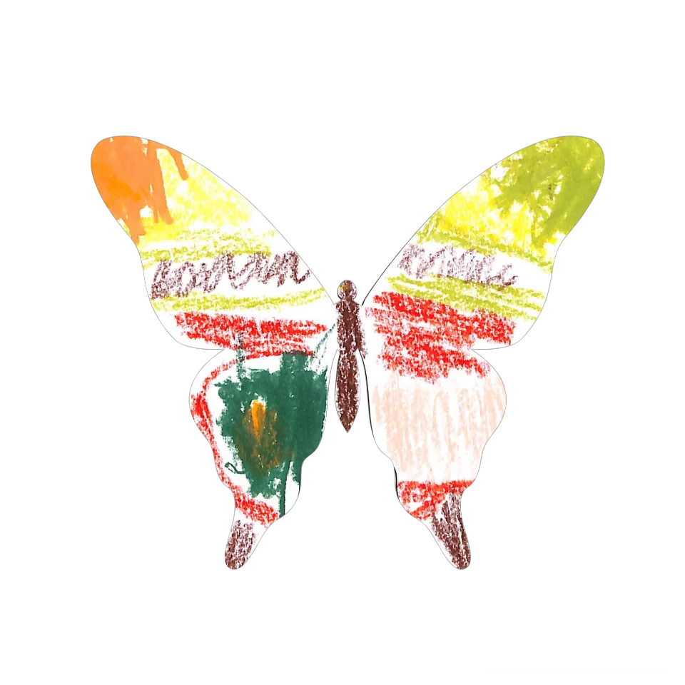 Original Butterfly Image