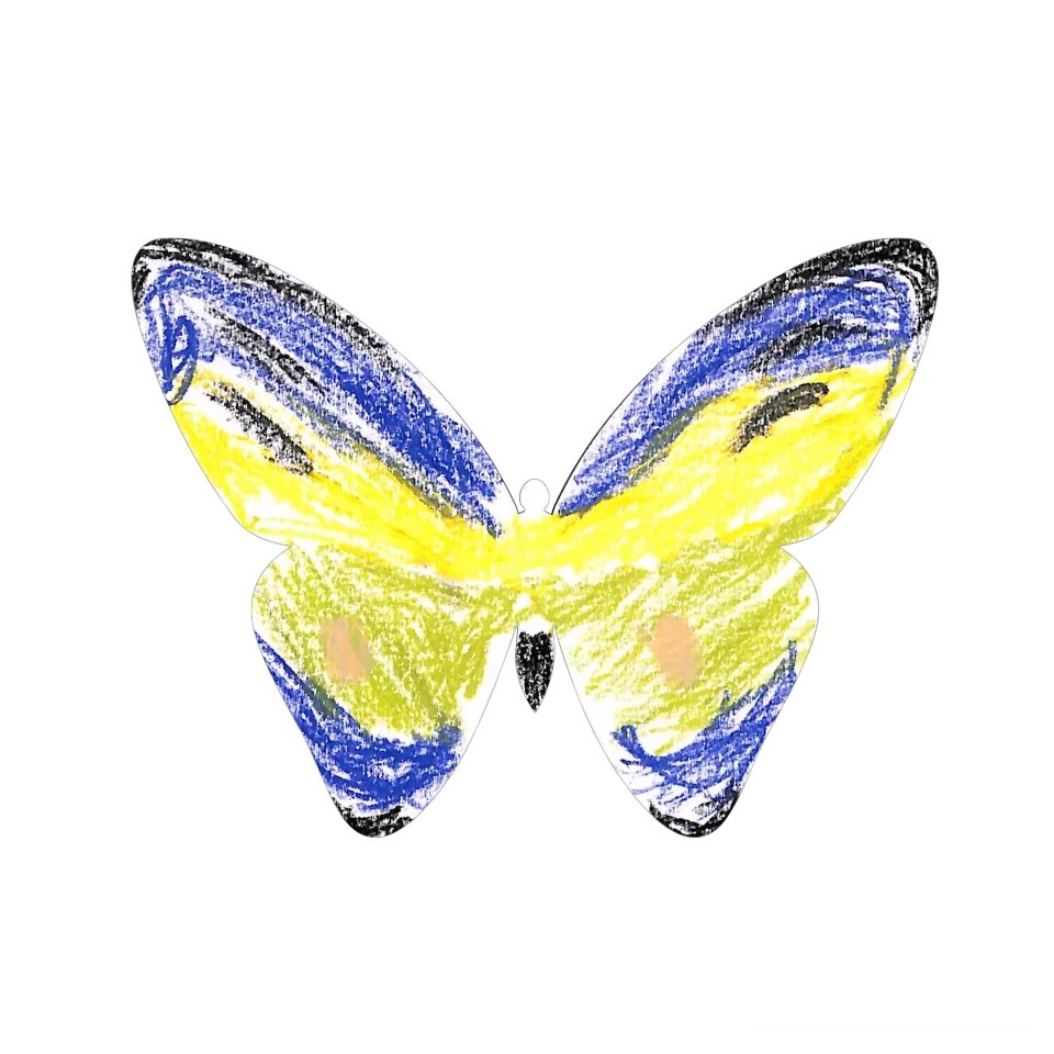 Original Butterfly Image