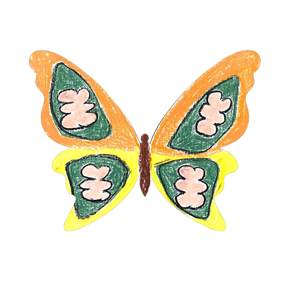 Original Butterfly Image