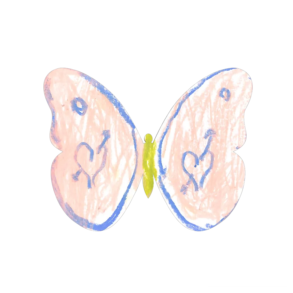 Original Butterfly Image