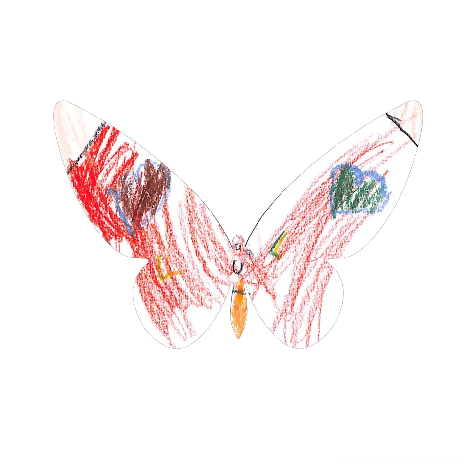 Original Butterfly Image
