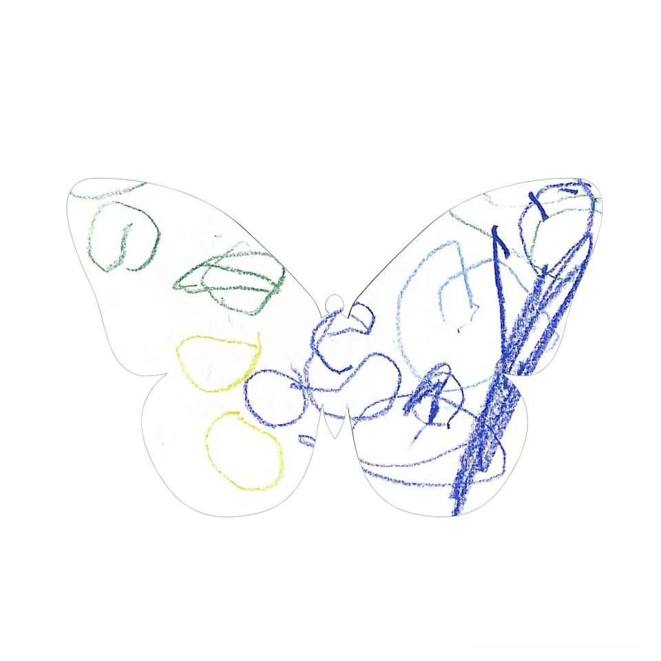 Original Butterfly Image