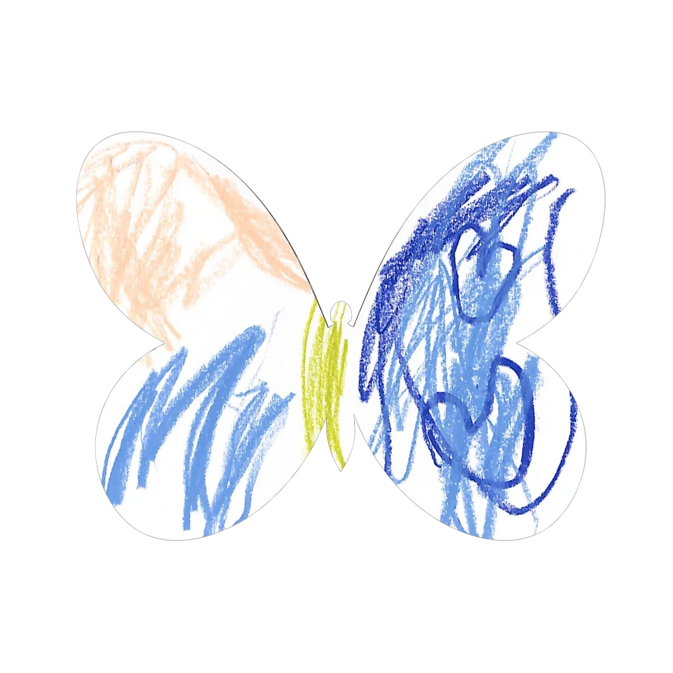 Original Butterfly Image