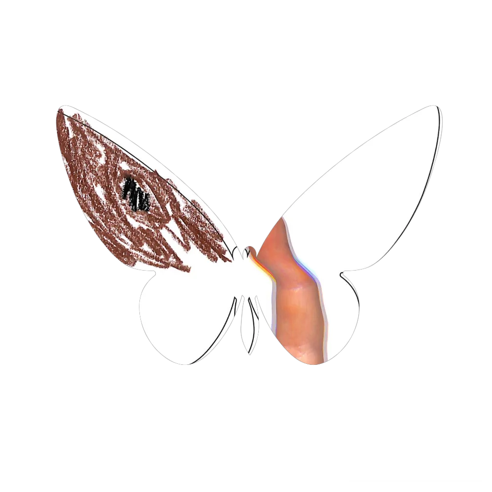 Original Butterfly Image