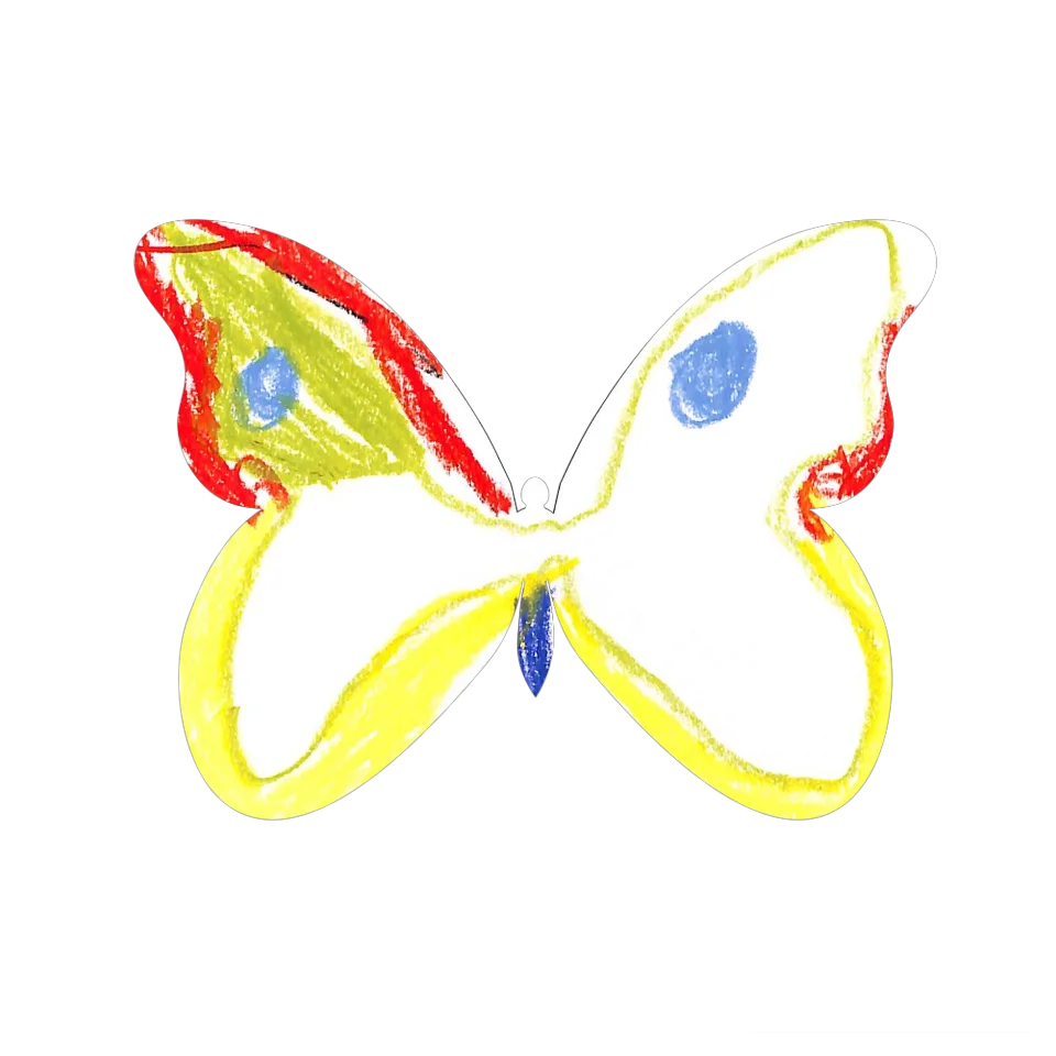 Original Butterfly Image