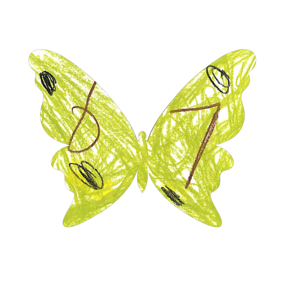 Original Butterfly Image