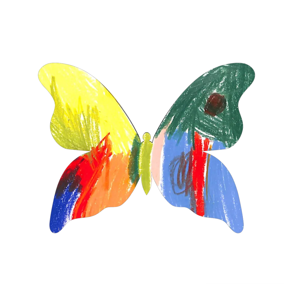Original Butterfly Image