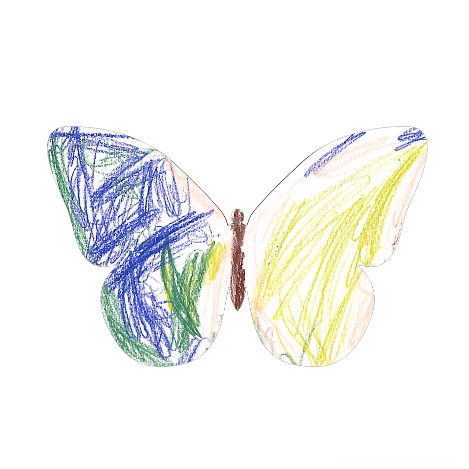 Original Butterfly Image