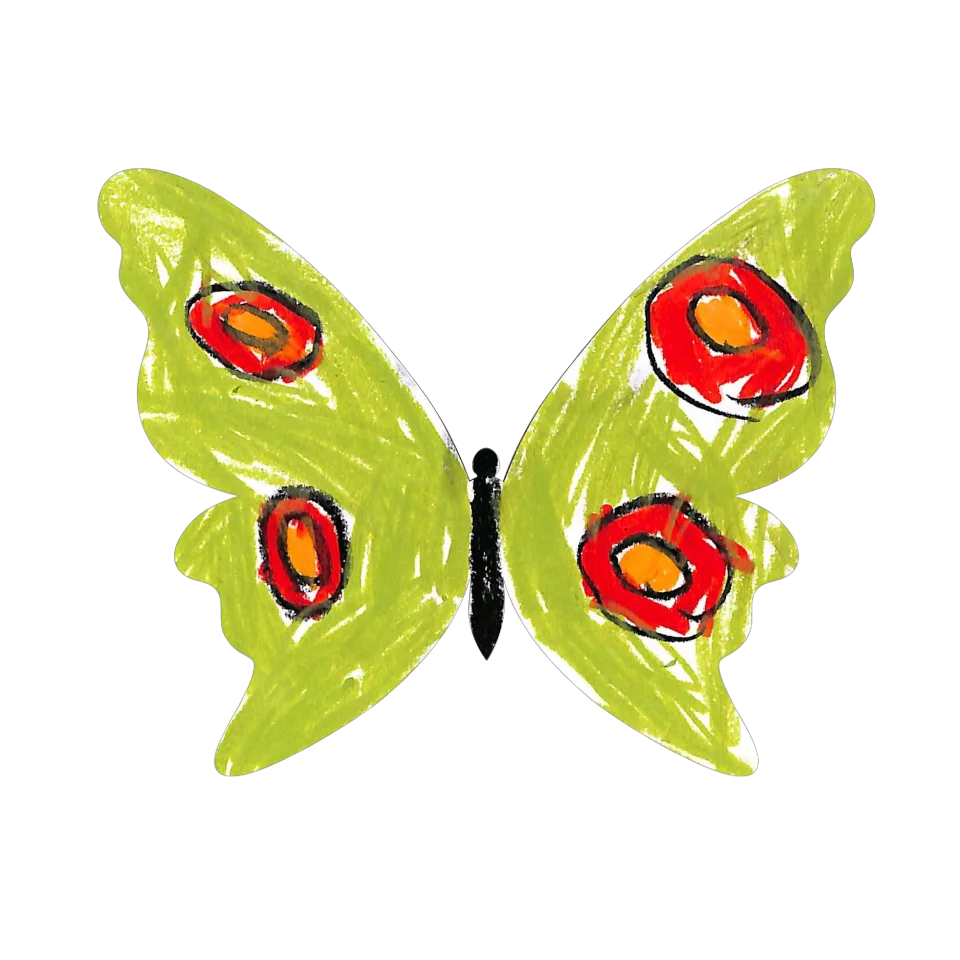 Original Butterfly Image