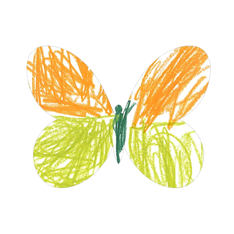 Original Butterfly Image