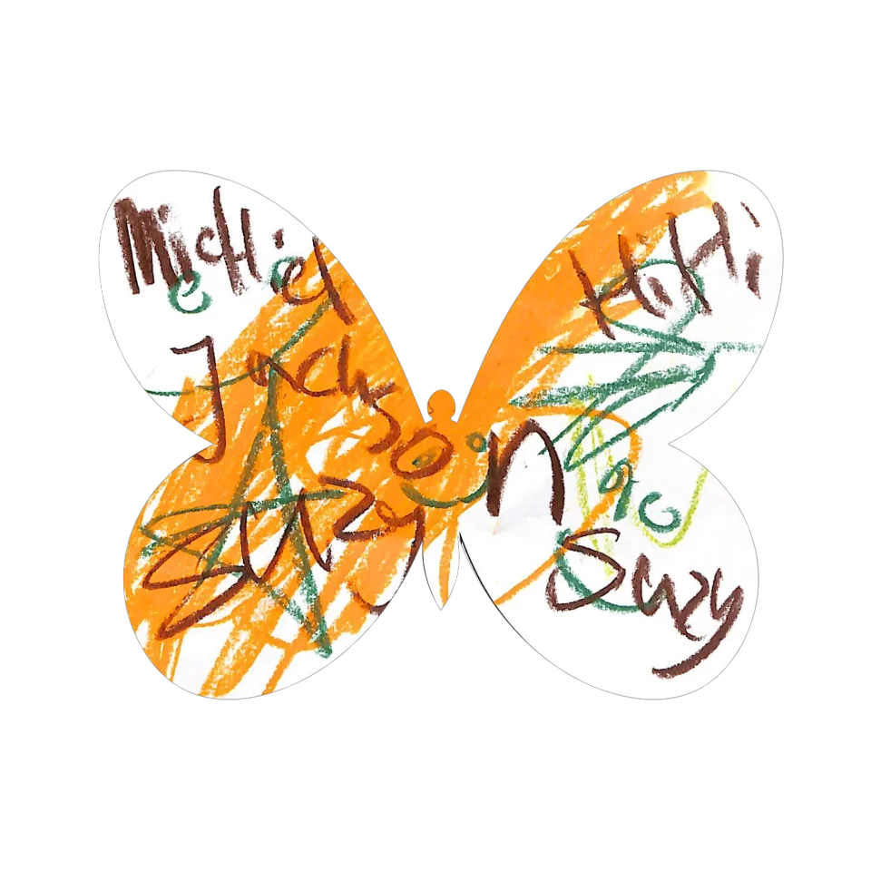 Original Butterfly Image