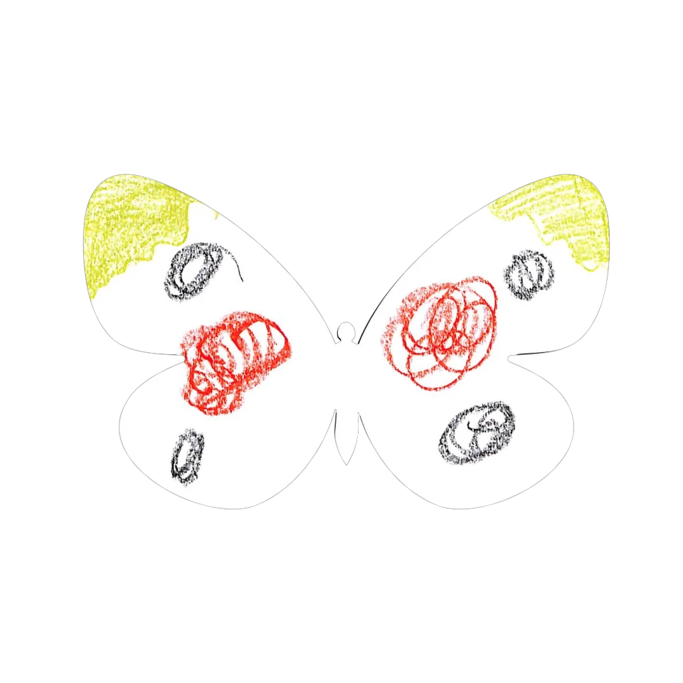 Original Butterfly Image