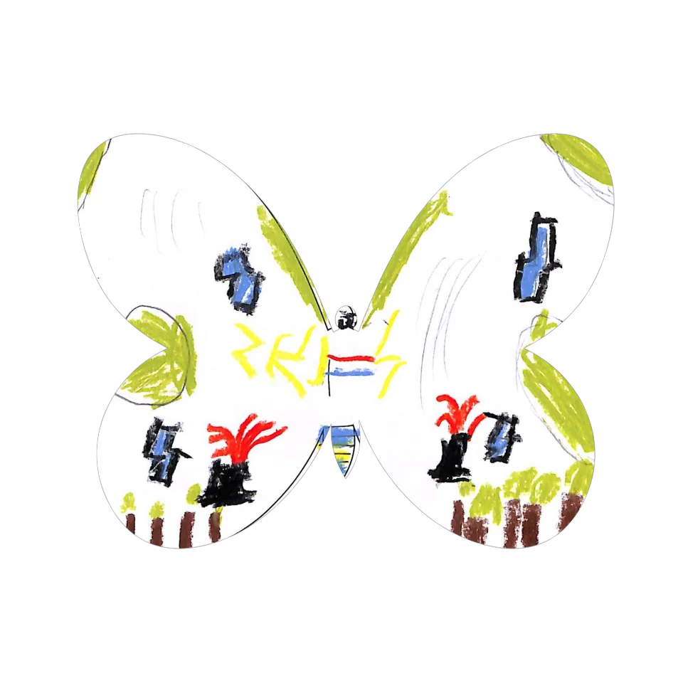 Original Butterfly Image