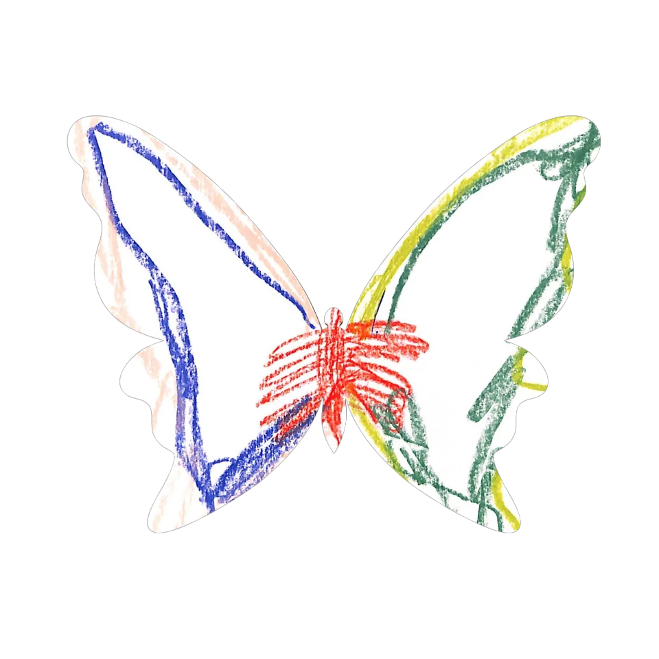 Original Butterfly Image