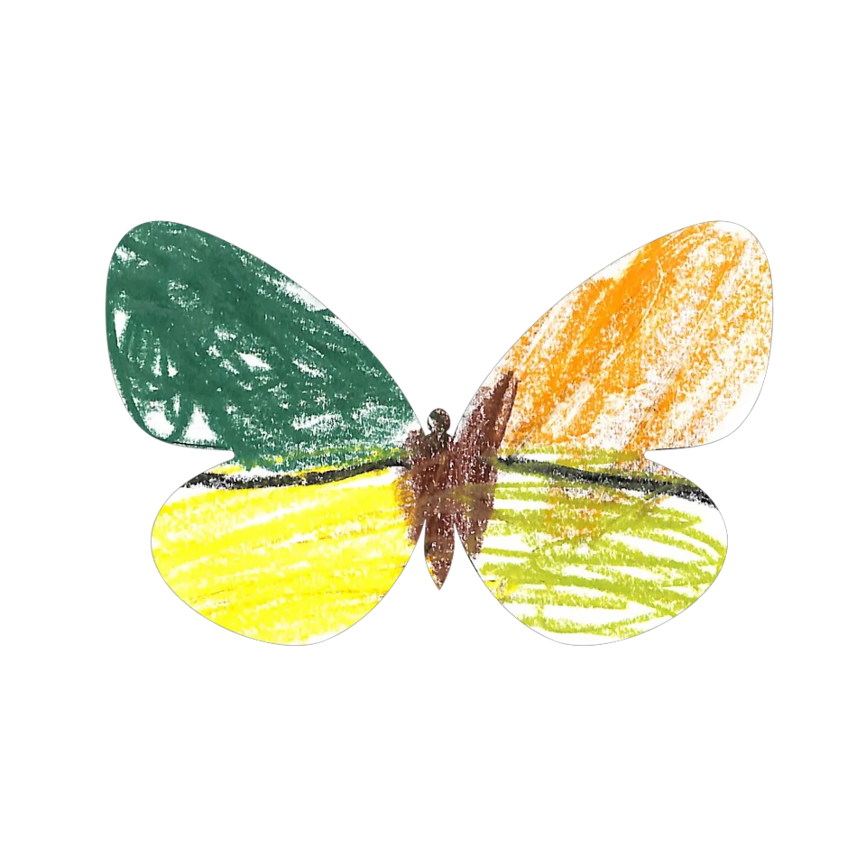 Original Butterfly Image