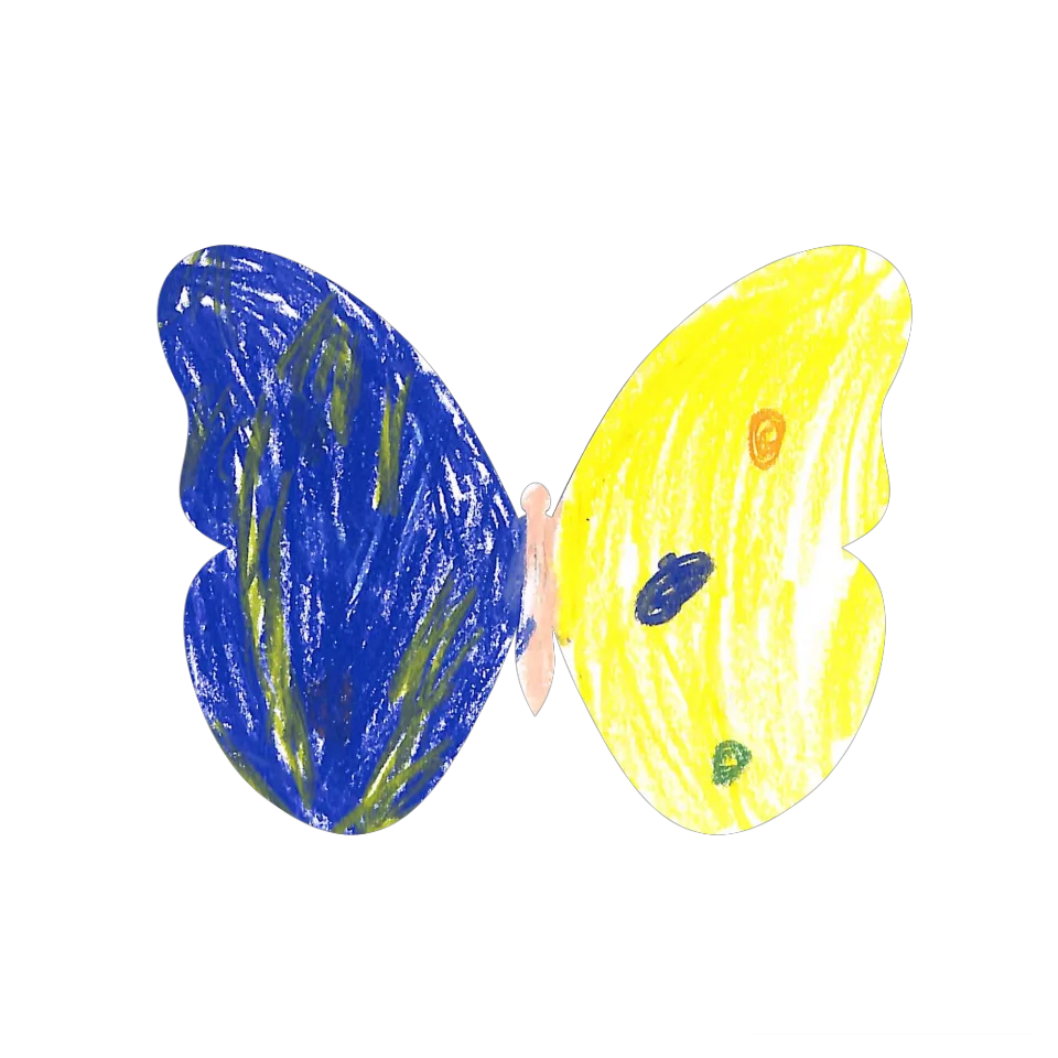 Original Butterfly Image