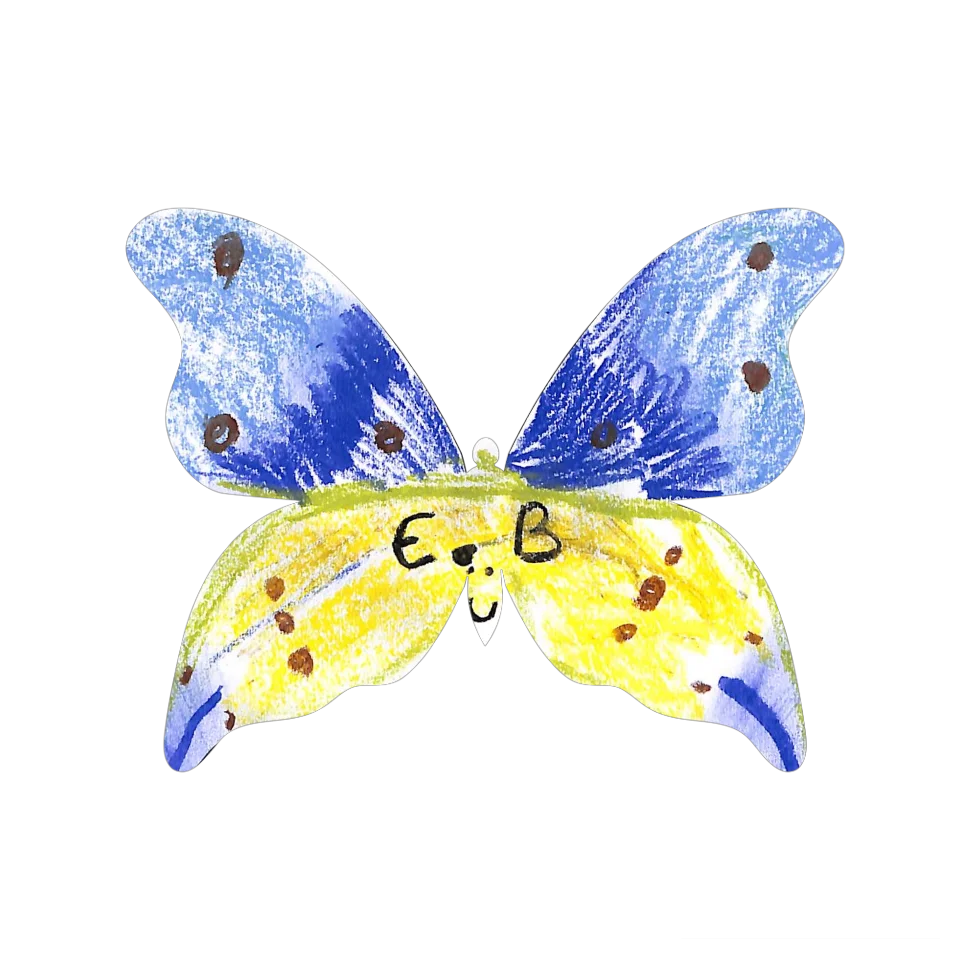 Original Butterfly Image