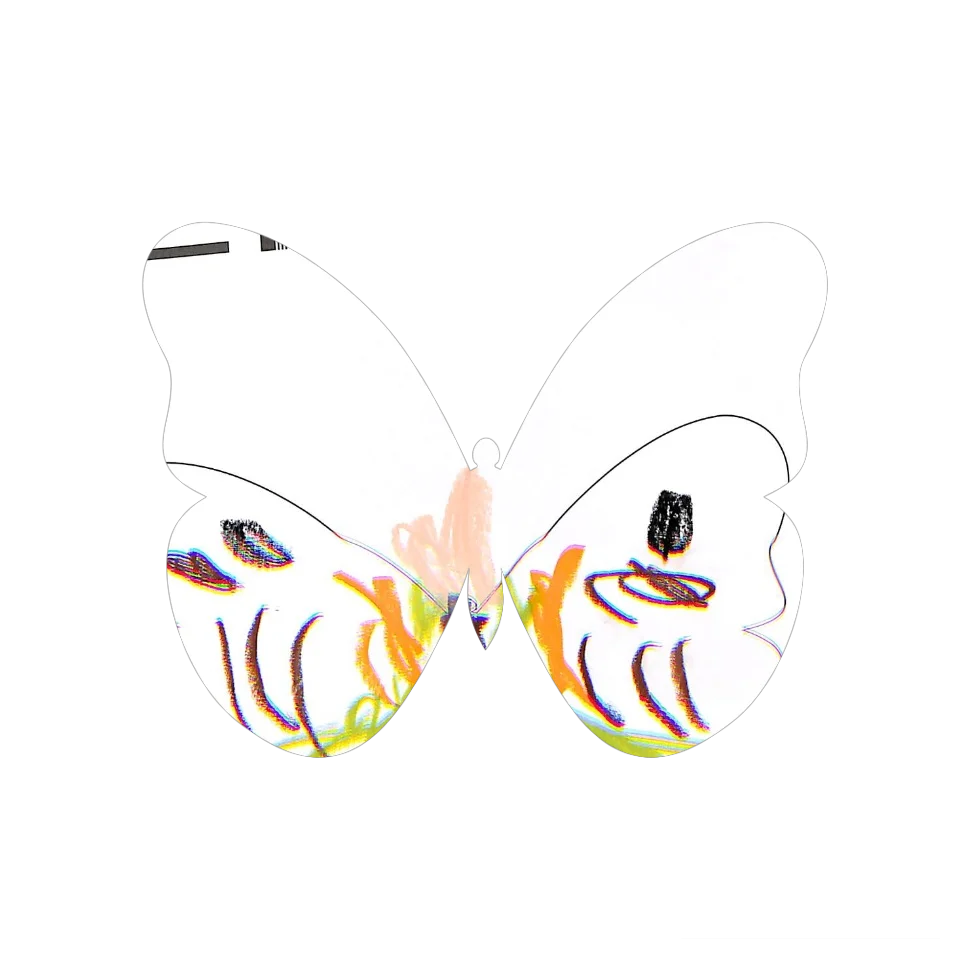 Original Butterfly Image