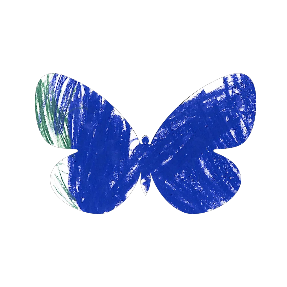 Original Butterfly Image