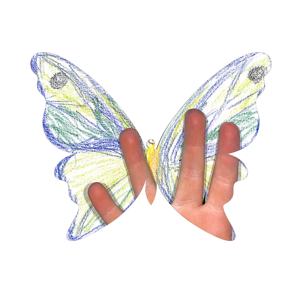 Original Butterfly Image