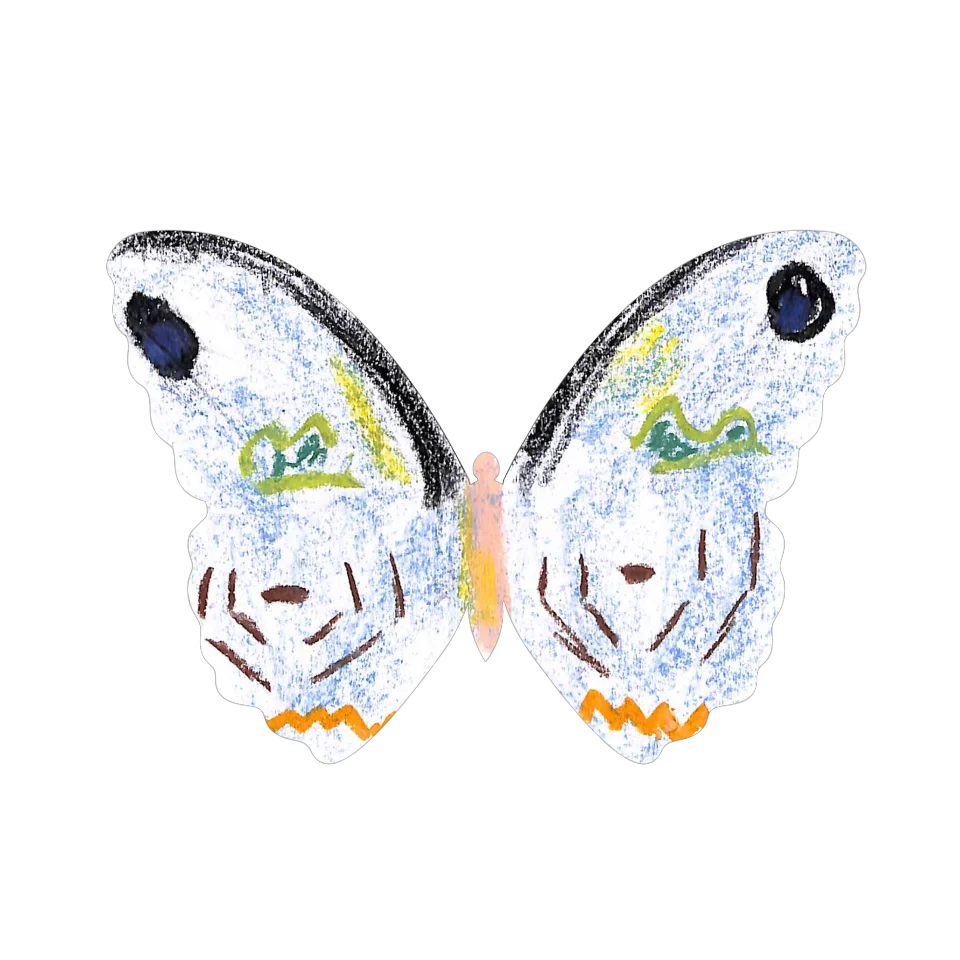 Original Butterfly Image