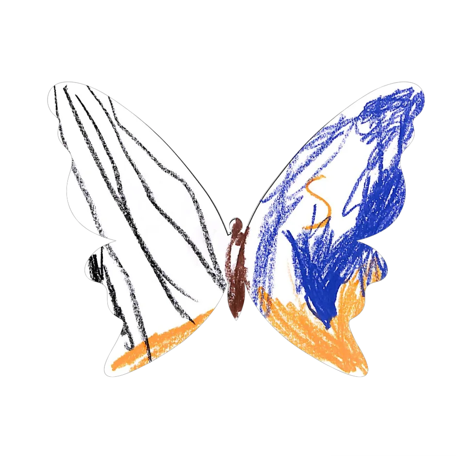 Original Butterfly Image