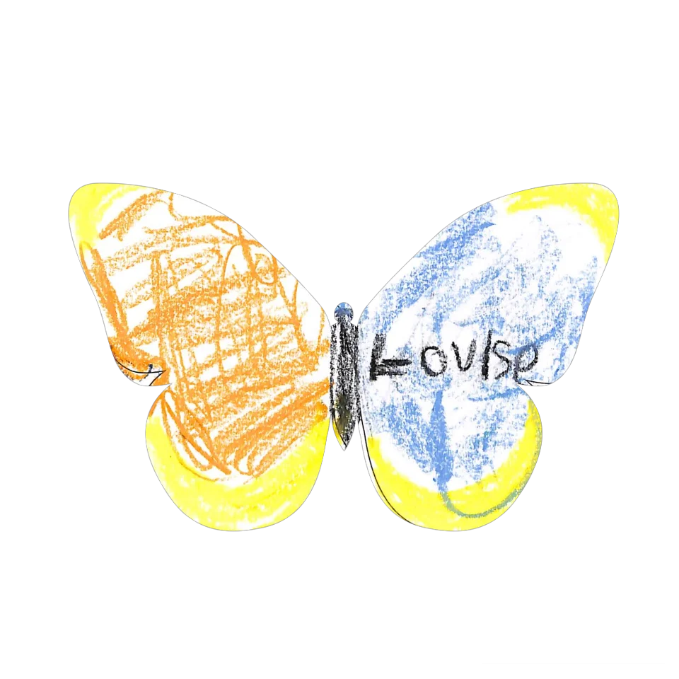 Original Butterfly Image