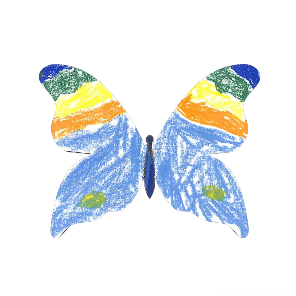 Original Butterfly Image