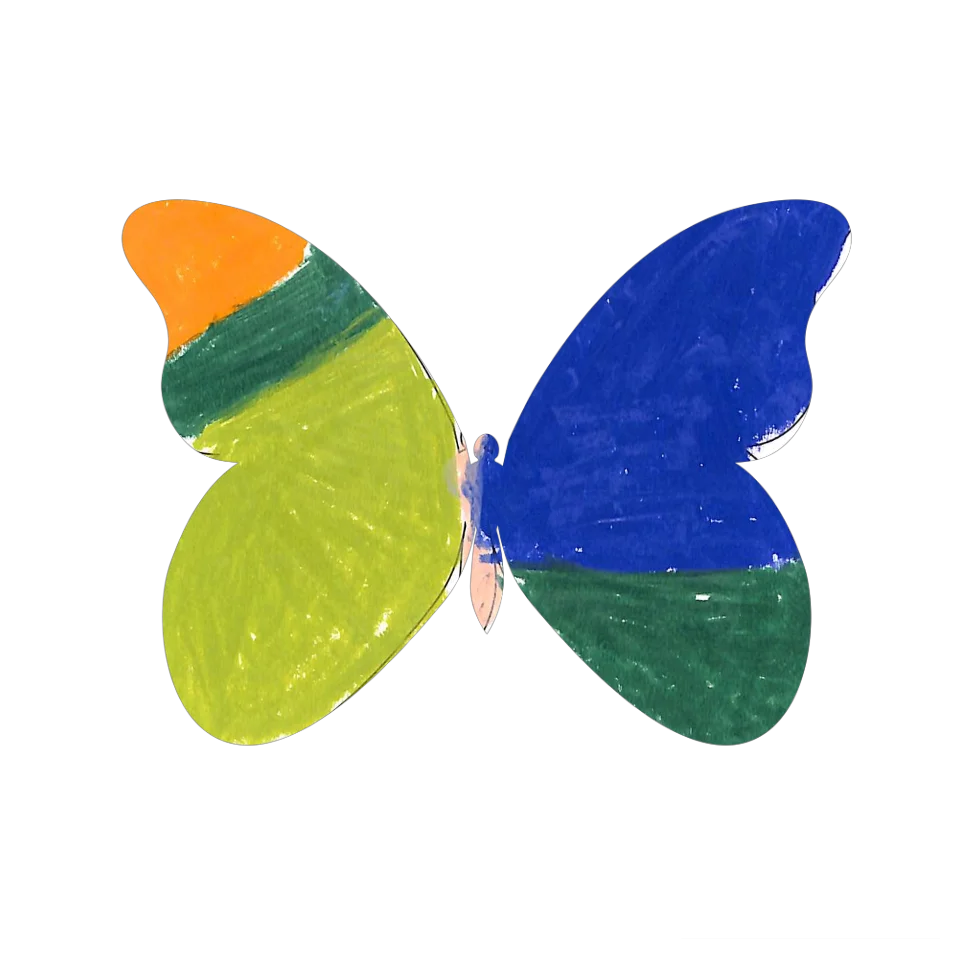 Original Butterfly Image
