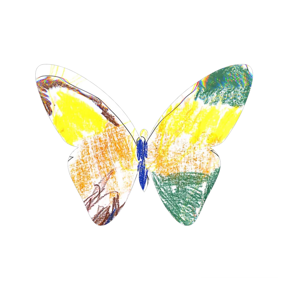 Original Butterfly Image
