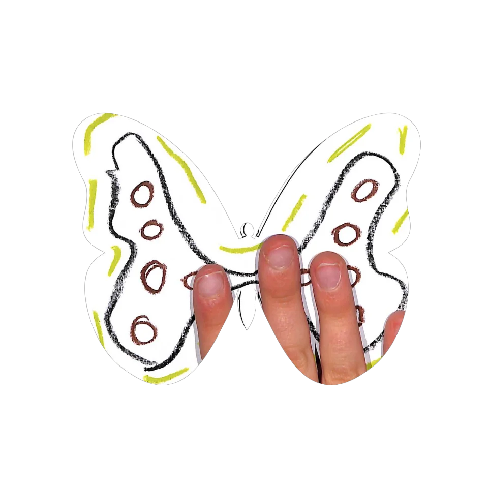 Original Butterfly Image