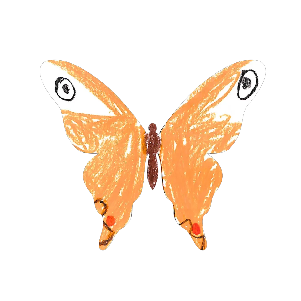 Original Butterfly Image