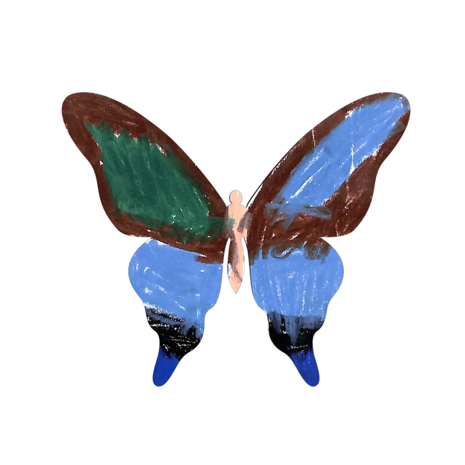 Original Butterfly Image