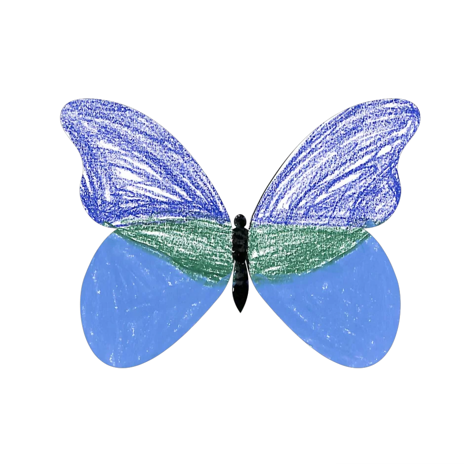 Original Butterfly Image