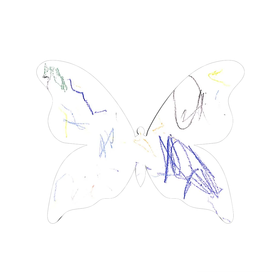 Original Butterfly Image