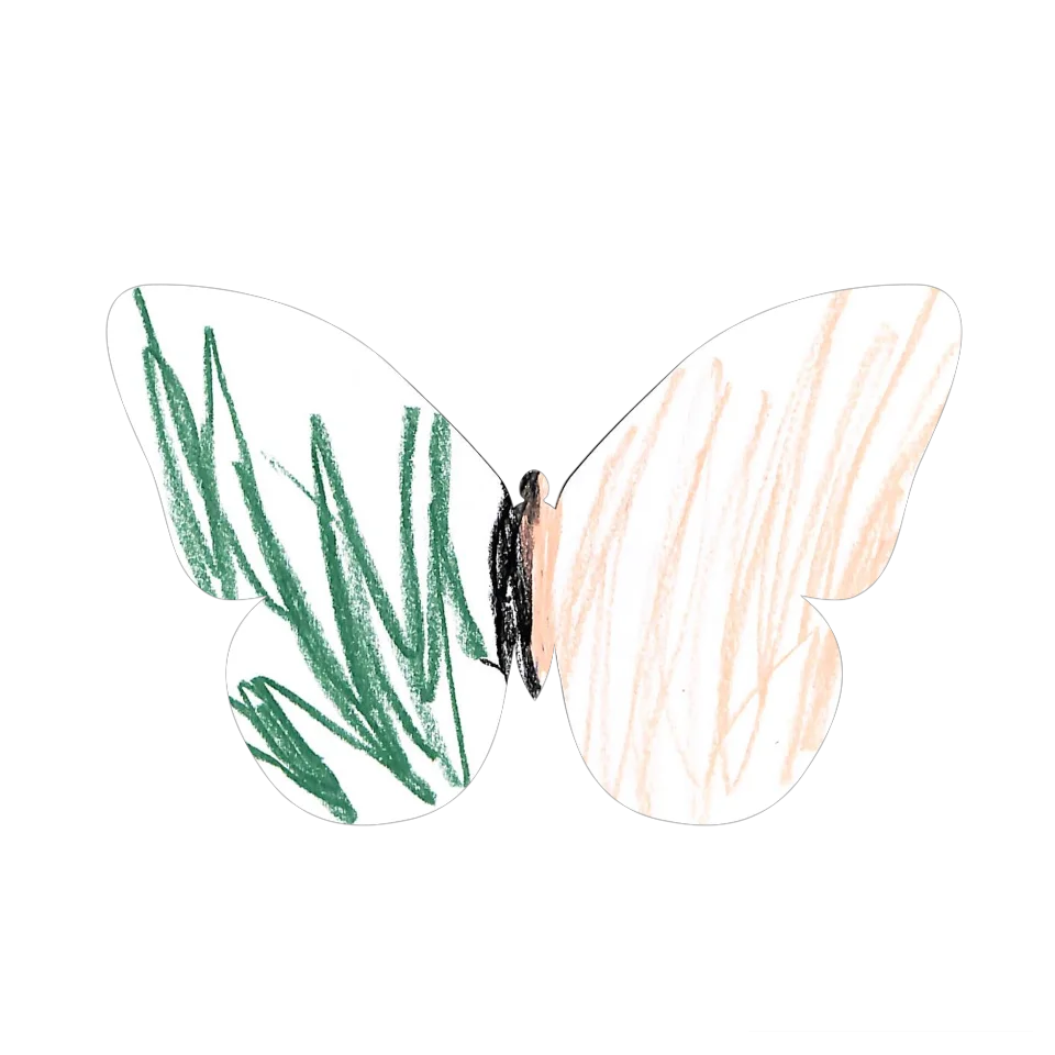 Original Butterfly Image