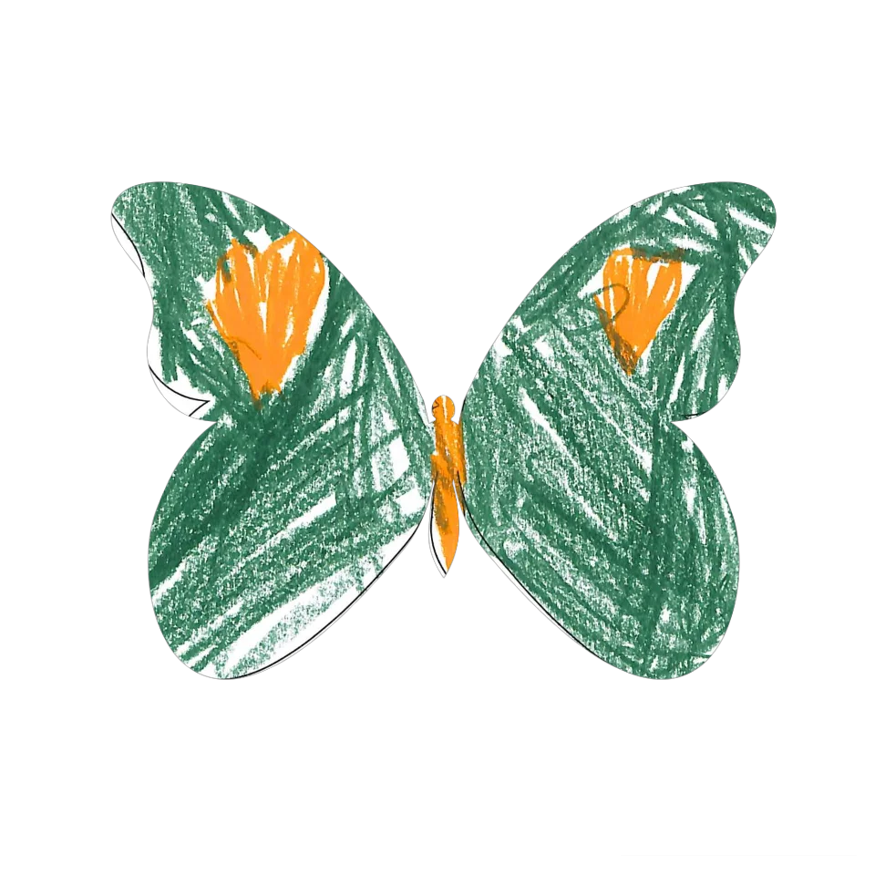 Original Butterfly Image
