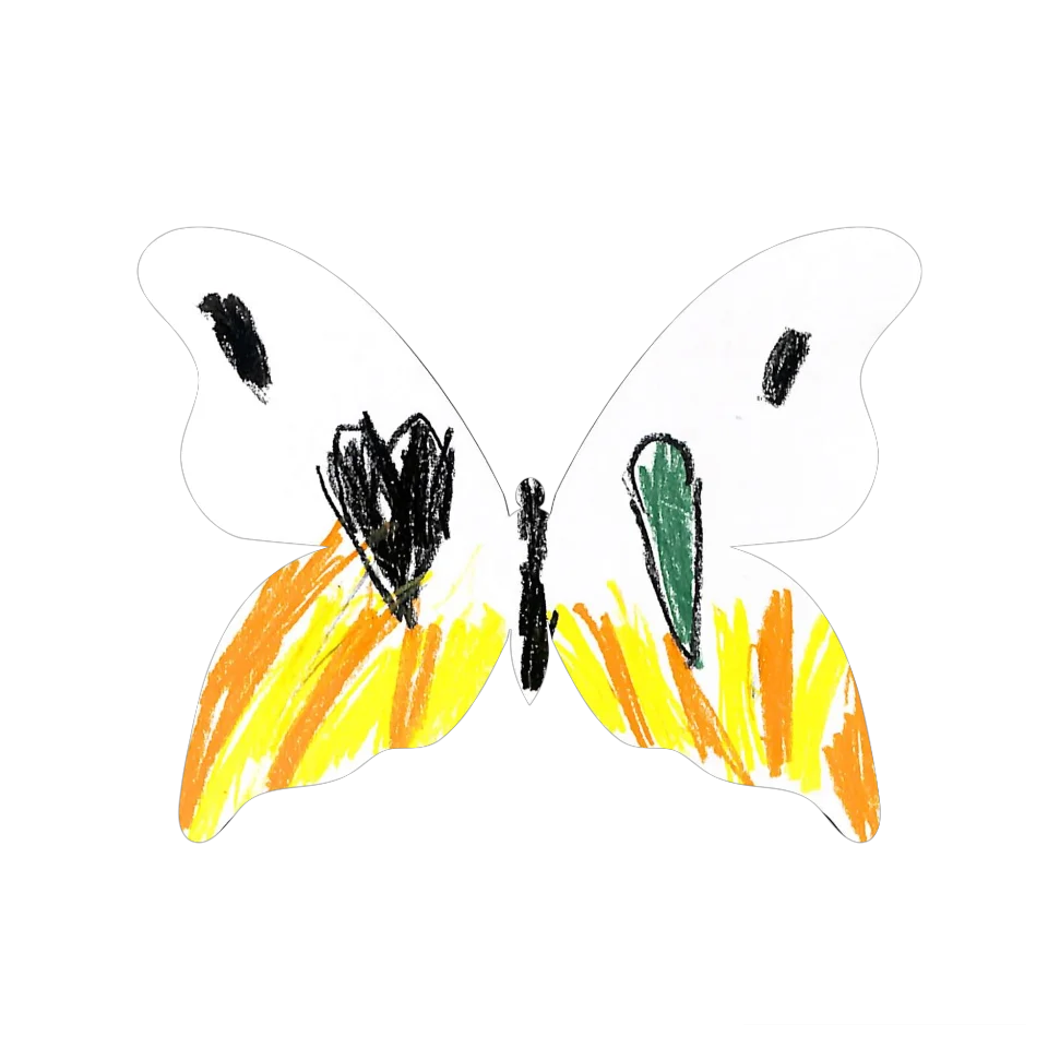Original Butterfly Image