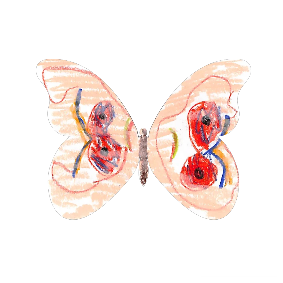 Original Butterfly Image