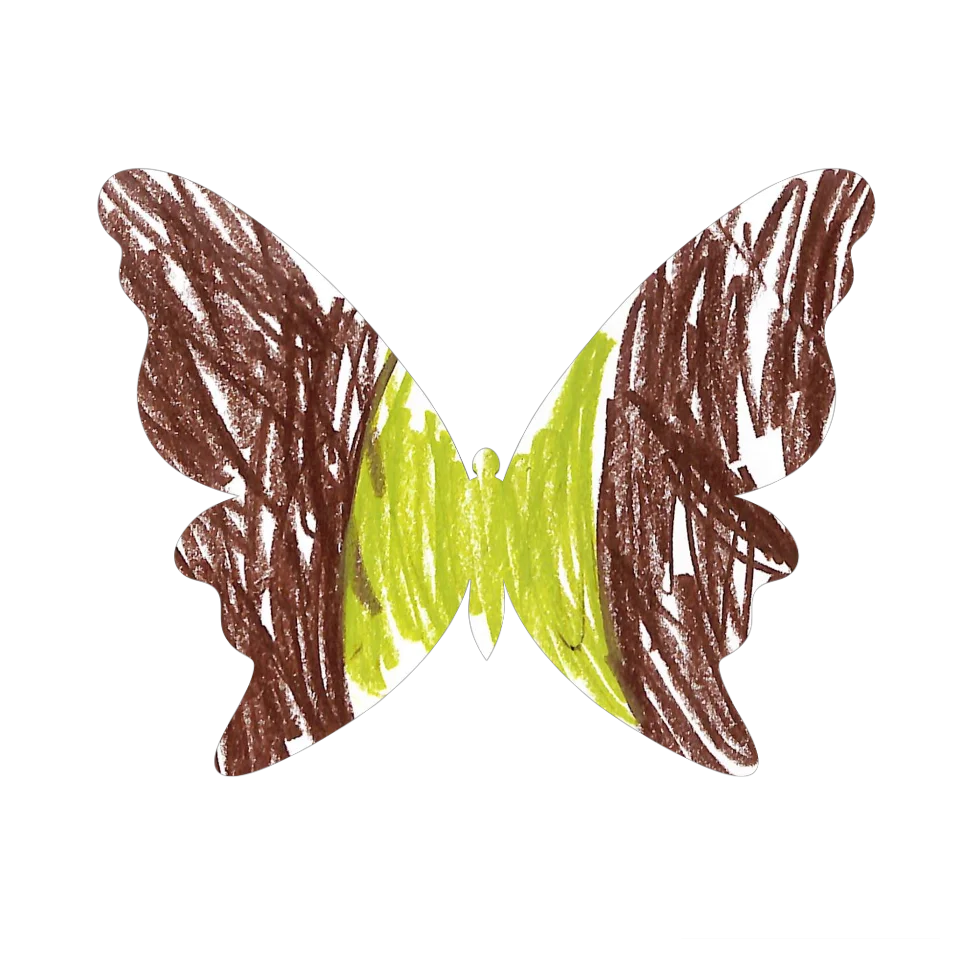 Original Butterfly Image
