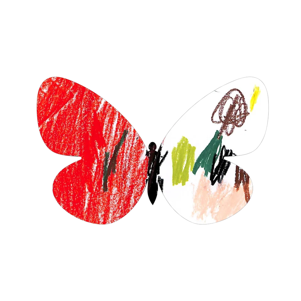 Original Butterfly Image