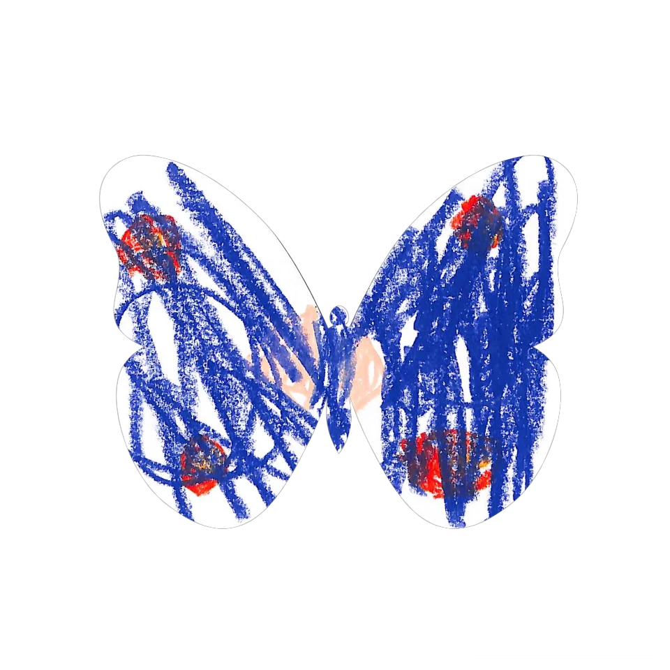 Original Butterfly Image