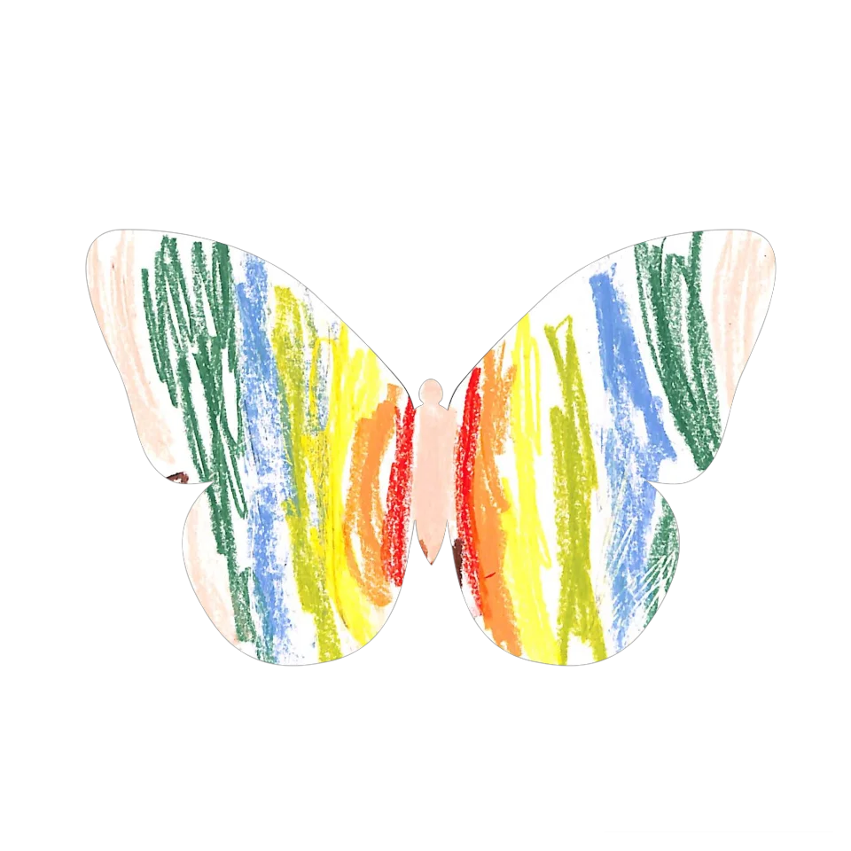 Original Butterfly Image