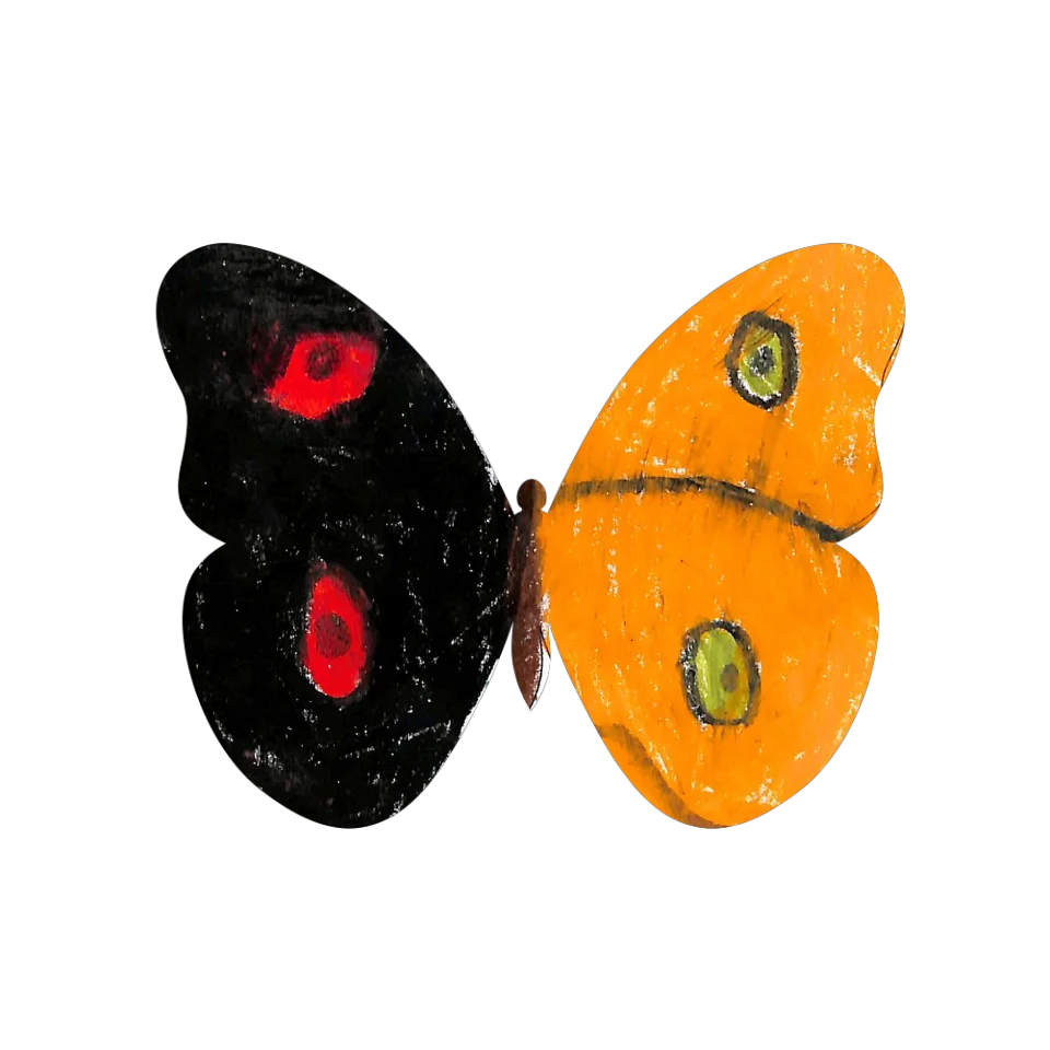 Original Butterfly Image