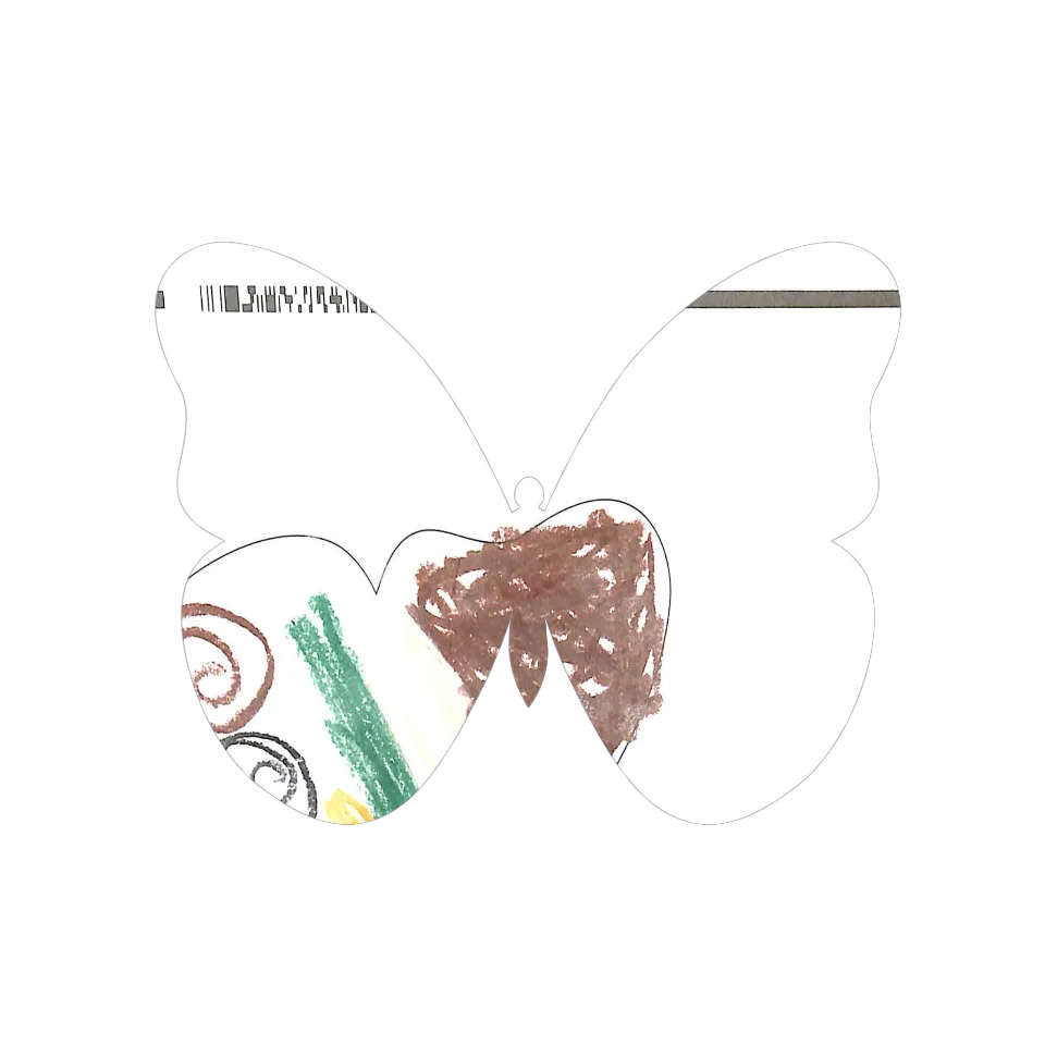Original Butterfly Image