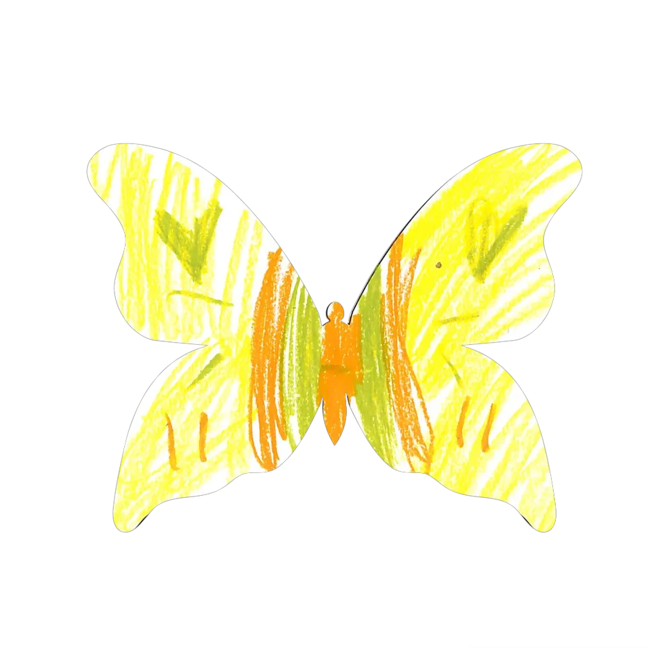 Original Butterfly Image