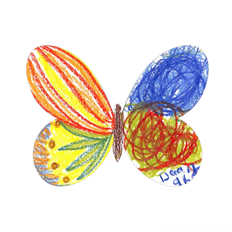 Original Butterfly Image